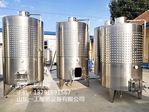 探索阳泉自酿葡萄酒新体验 可定制发酵桶与高效过滤设备的完美结合
